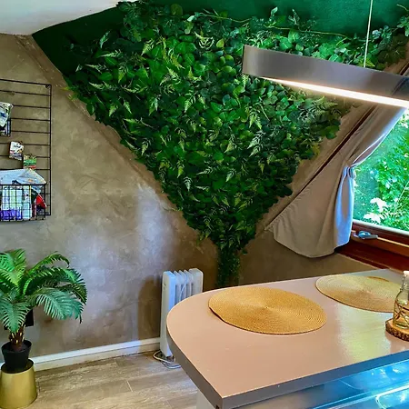 Chalet Tropical Avec Bain A Bulles - In The Woods Chalet Gesves